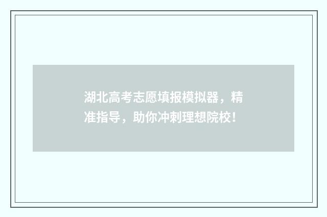 湖北高考志愿填报模拟器，精准指导，助你冲刺理想院校！