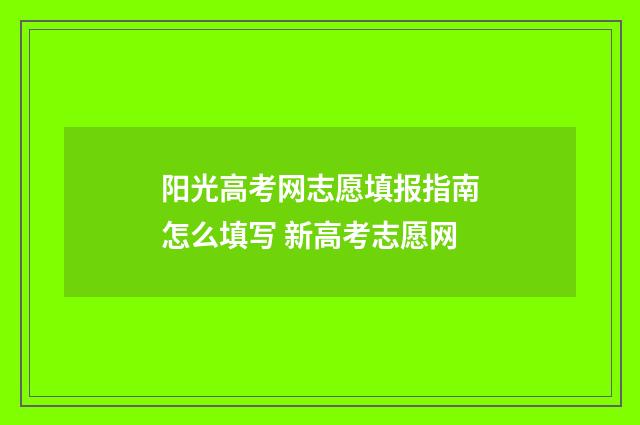 阳光高考网志愿填报指南怎么填写 新高考志愿网