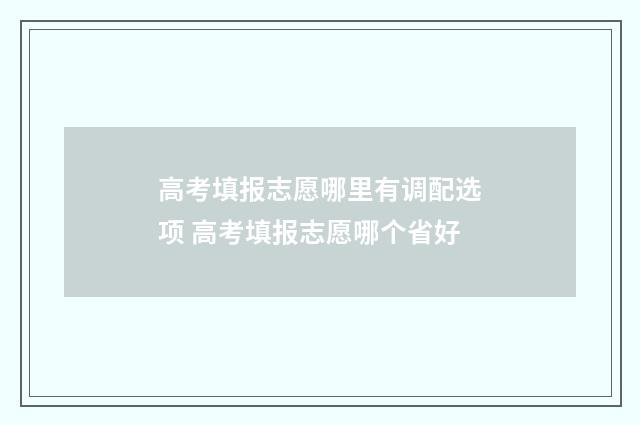 高考填报志愿哪里有调配选项 高考填报志愿哪个省好