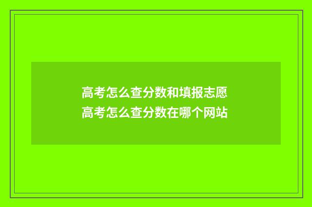 高考怎么查分数和填报志愿 高考怎么查分数在哪个网站