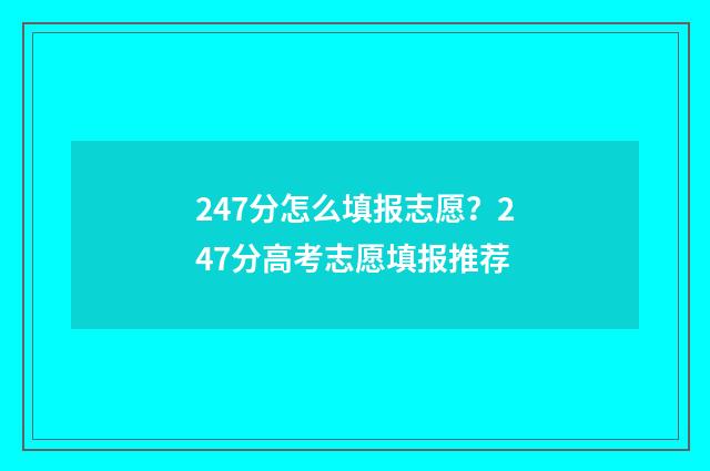 247分怎么填报志愿？247分高考志愿填报推荐