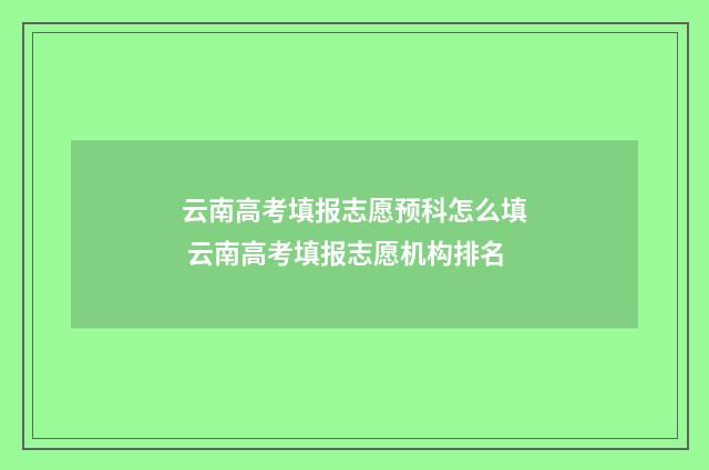云南高考填报志愿预科怎么填 云南高考填报志愿机构排名