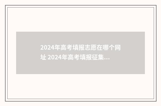 2024年高考填报志愿在哪个网址 2024年高考填报征集志愿时间