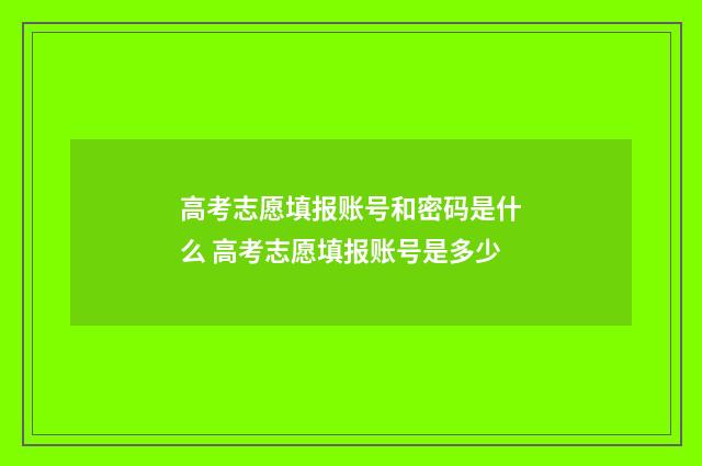高考志愿填报账号和密码是什么 高考志愿填报账号是多少