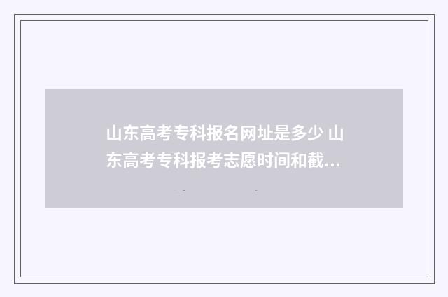 山东高考专科报名网址是多少 山东高考专科报考志愿时间和截止时间