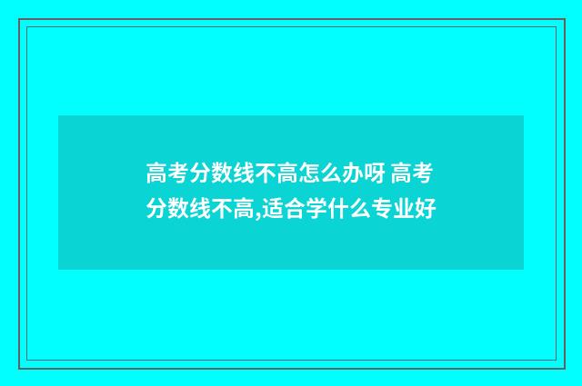 高考分数线不高怎么办呀 高考分数线不高,适合学什么专业好