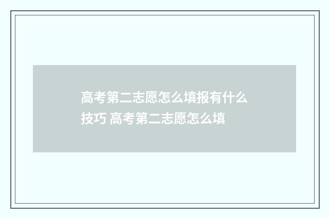 高考第二志愿怎么填报有什么技巧 高考第二志愿怎么填