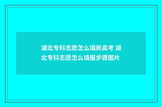 湖北专科志愿怎么填新高考 湖北专科志愿怎么填报步骤图片