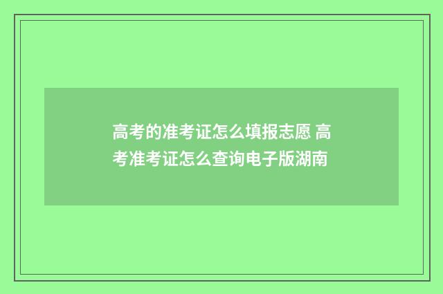 高考的准考证怎么填报志愿 高考准考证怎么查询电子版湖南