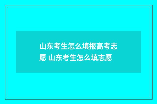 山东考生怎么填报高考志愿 山东考生怎么填志愿