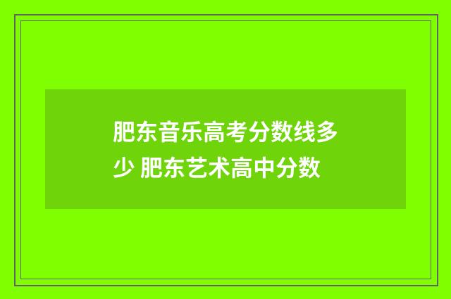 肥东音乐高考分数线多少 肥东艺术高中分数