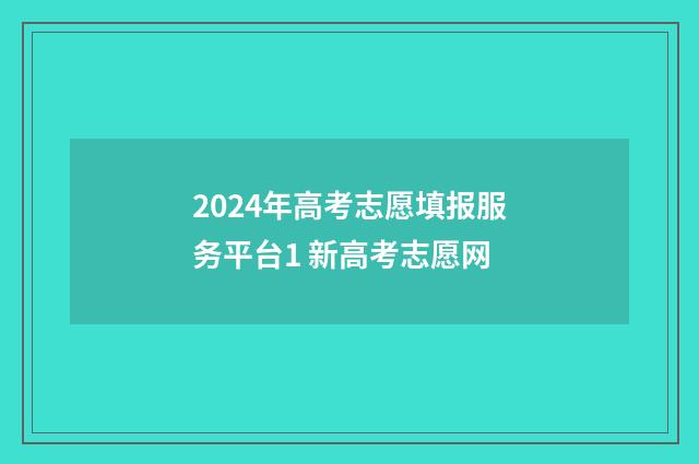2024年高考志愿填报服务平台1 新高考志愿网