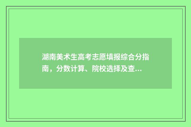 湖南美术生高考志愿填报综合分指南，分数计算、院校选择及查询入口 湖南美术生高考后能报哪些学校