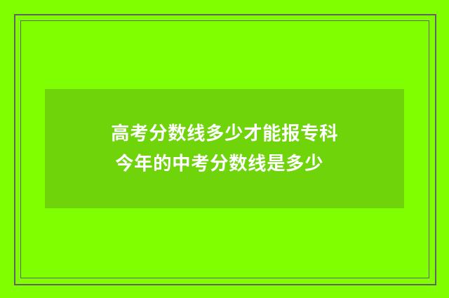 高考分数线多少才能报专科 今年的中考分数线是多少