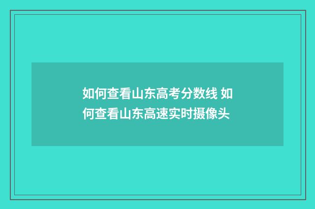 如何查看山东高考分数线 如何查看山东高速实时摄像头
