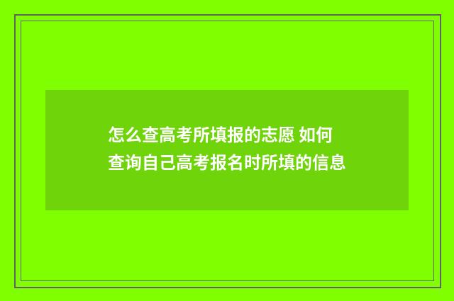 怎么查高考所填报的志愿 如何查询自己高考报名时所填的信息