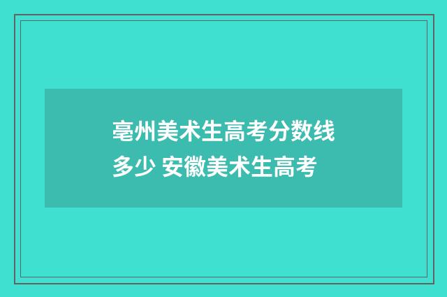 亳州美术生高考分数线多少 安徽美术生高考