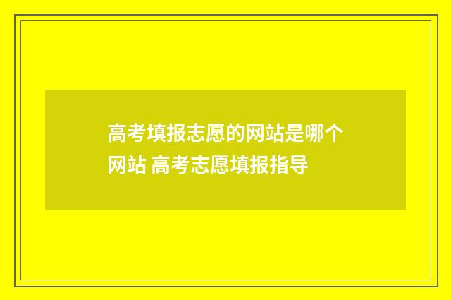 高考填报志愿的网站是哪个网站 高考志愿填报指导
