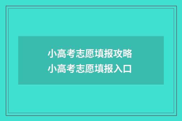 小高考志愿填报攻略 小高考志愿填报入口