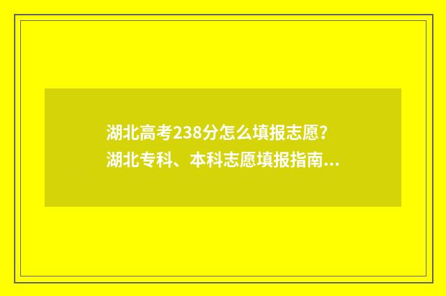 湖北高考238分怎么填报志愿？湖北专科、本科志愿填报指南 湖北高考583分