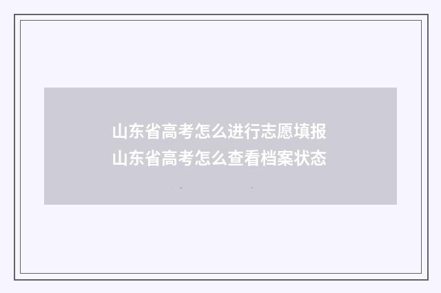 山东省高考怎么进行志愿填报 山东省高考怎么查看档案状态