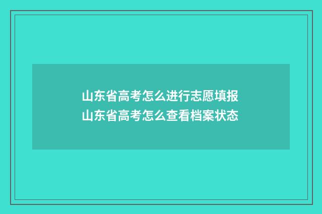 山东省高考怎么进行志愿填报 山东省高考怎么查看档案状态