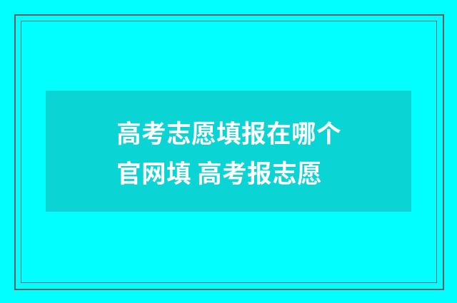 高考志愿填报在哪个官网填 高考报志愿