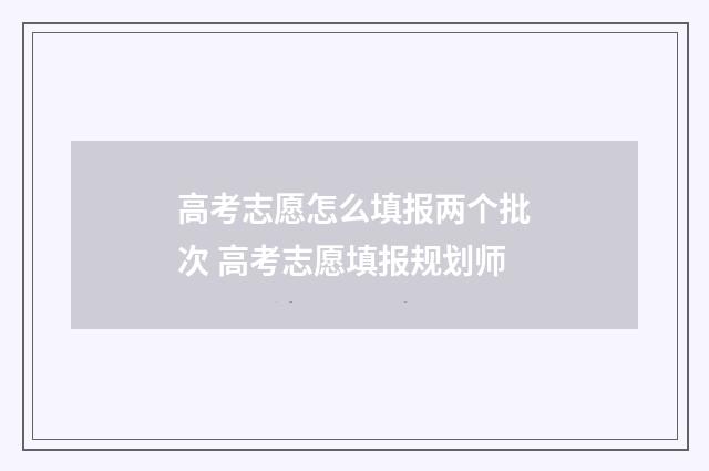 高考志愿怎么填报两个批次 高考志愿填报规划师