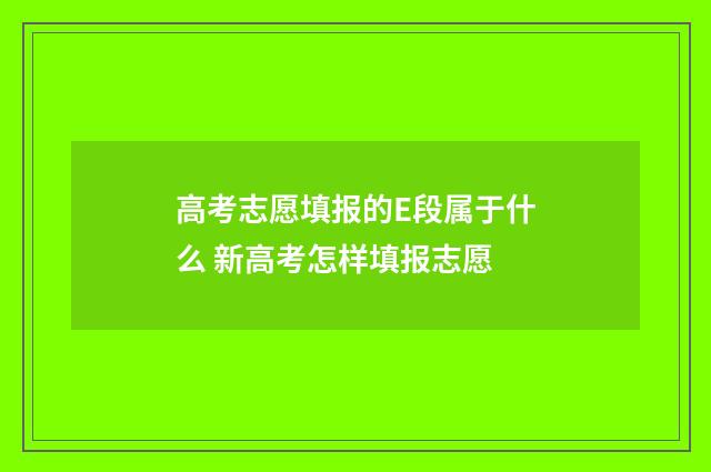 高考志愿填报的E段属于什么 新高考怎样填报志愿