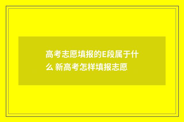 高考志愿填报的E段属于什么 新高考怎样填报志愿