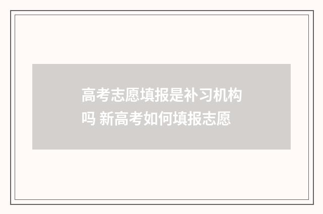 高考志愿填报是补习机构吗 新高考如何填报志愿