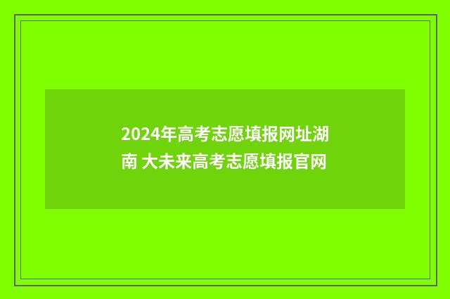 2024年高考志愿填报网址湖南 大未来高考志愿填报官网