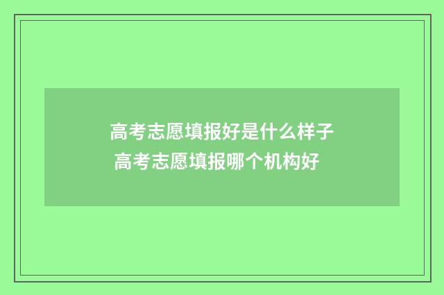 高考志愿填报好是什么样子 高考志愿填报哪个机构好