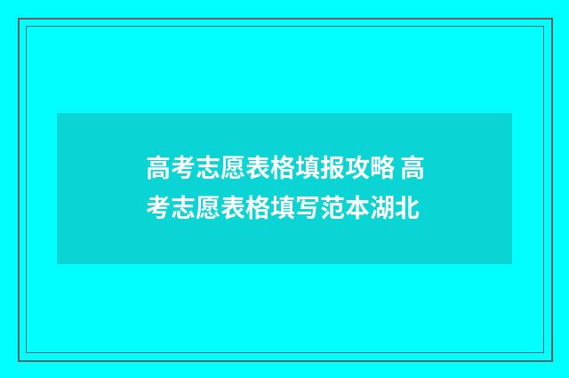 高考志愿表格填报攻略 高考志愿表格填写范本湖北
