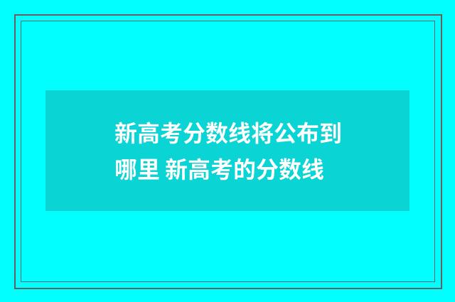 新高考分数线将公布到哪里 新高考的分数线