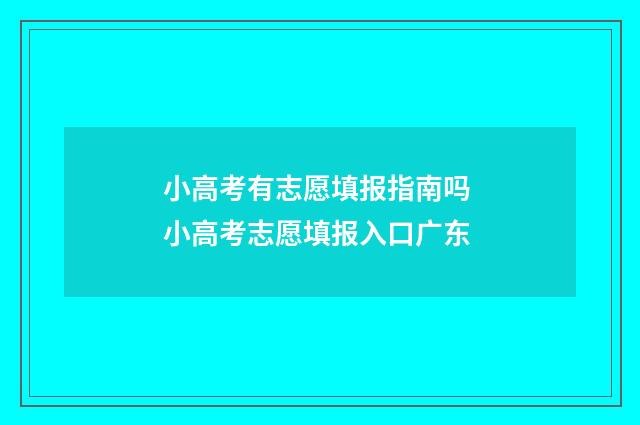 小高考有志愿填报指南吗 小高考志愿填报入口广东