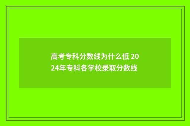 高考专科分数线为什么低 2024年专科各学校录取分数线
