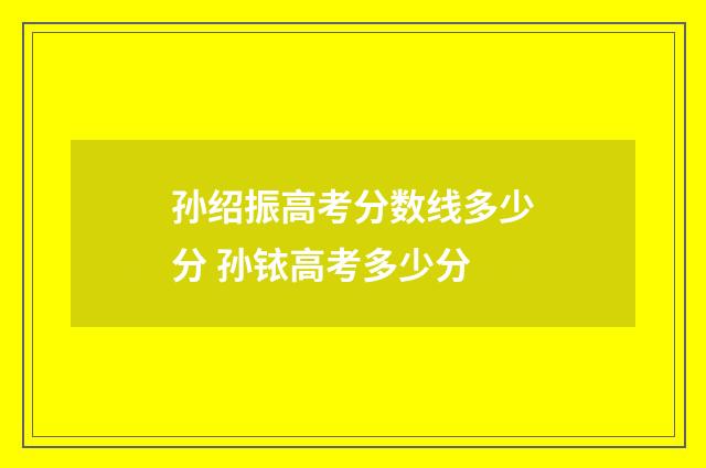 孙绍振高考分数线多少分 孙铱高考多少分