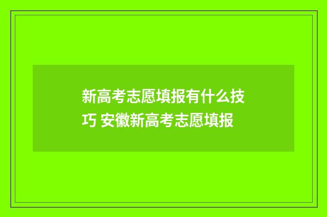 新高考志愿填报有什么技巧 安徽新高考志愿填报
