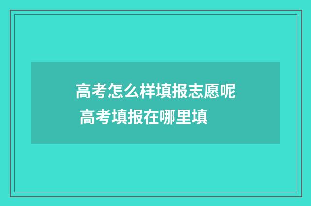高考怎么样填报志愿呢 高考填报在哪里填