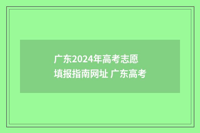 广东2024年高考志愿填报指南网址 广东高考