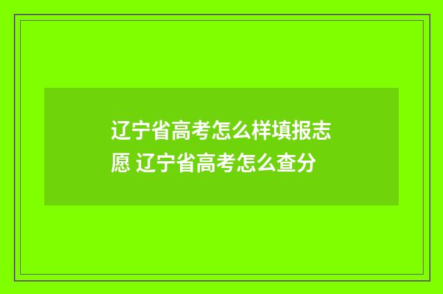 辽宁省高考怎么样填报志愿 辽宁省高考怎么查分
