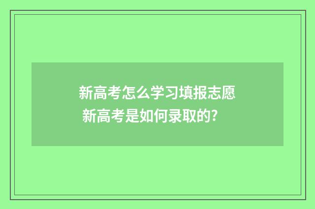 新高考怎么学习填报志愿 新高考是如何录取的?