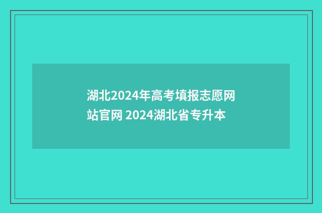 湖北2024年高考填报志愿网站官网 2024湖北省专升本