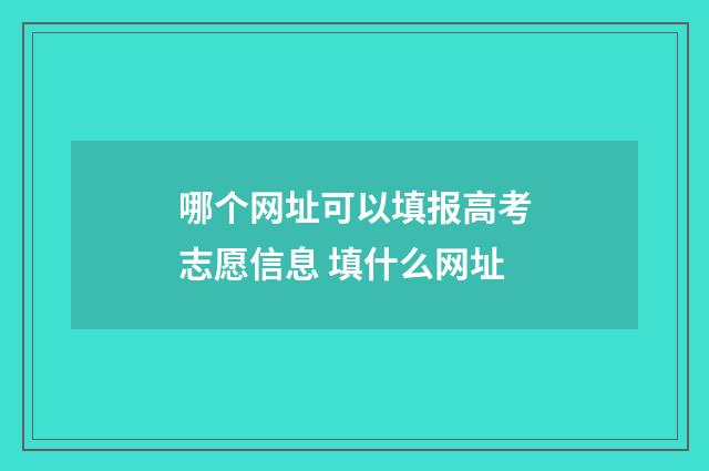哪个网址可以填报高考志愿信息 填什么网址