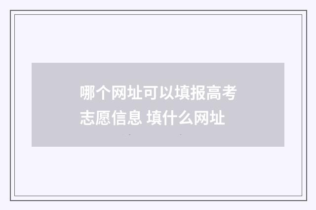 哪个网址可以填报高考志愿信息 填什么网址