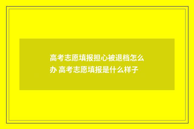 高考志愿填报担心被退档怎么办 高考志愿填报是什么样子