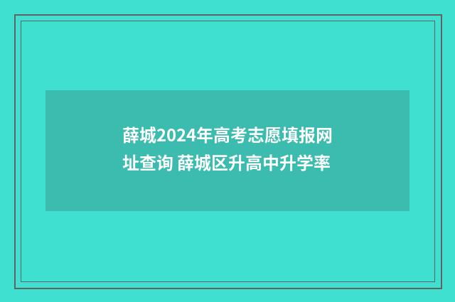 薛城2024年高考志愿填报网址查询 薛城区升高中升学率