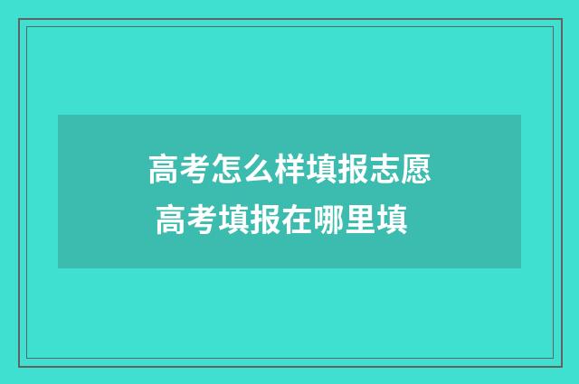 高考怎么样填报志愿 高考填报在哪里填