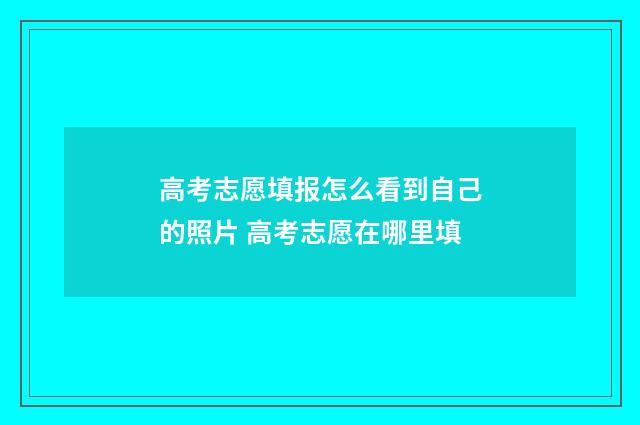 高考志愿填报怎么看到自己的照片 高考志愿在哪里填
